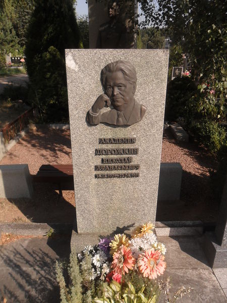 Файл:Могила академика Николая Дорожкина.JPG