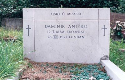 Aniska Daminik 2.jpg